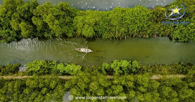 Với 25 loài cỏ biển, 64 loài phù du và 76 loài cá, đầm Thị Nại tạo nên một môi trường sống lý tưởng