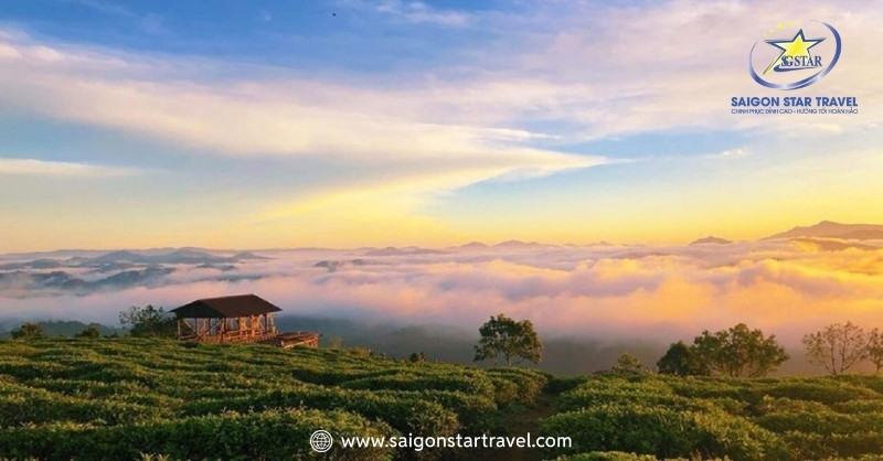 Bình minh nắng nhẹ ở Đà Lạt