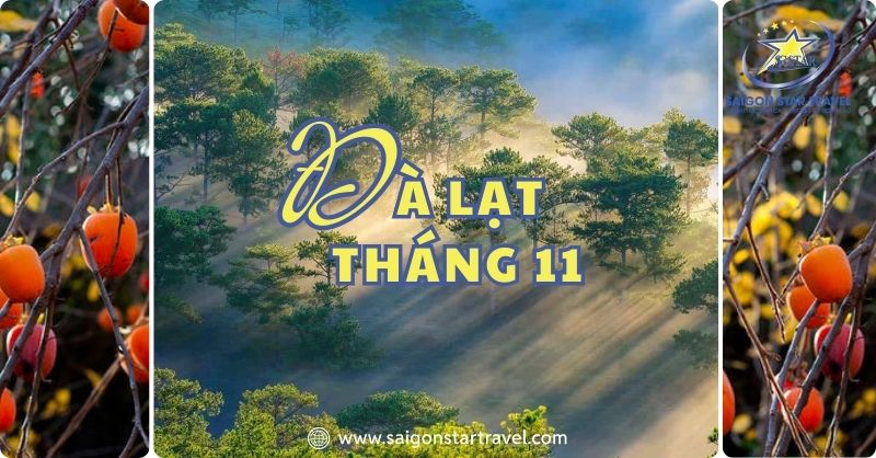 Đà Lạt tháng 11 có gì vui?