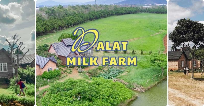 Dalat Milk Farm nổi tiếng với cảnh sắc thiên nhiên thơ mộng