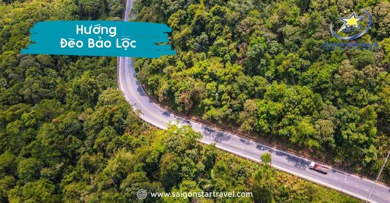 Cung đường Đà Lạt nổi tiếng trên quốc lộ 20