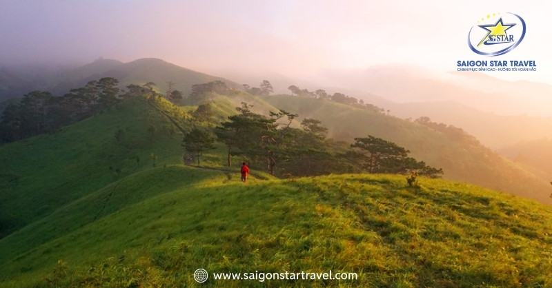 Trekking Đà Lạt - chuyến đi bộ để đời (Đà Lạt tháng 2 có lạnh không?)