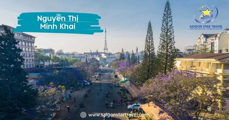 Hoa phượng tím nở rộ trên Đường Nguyễn Thị Minh Khai