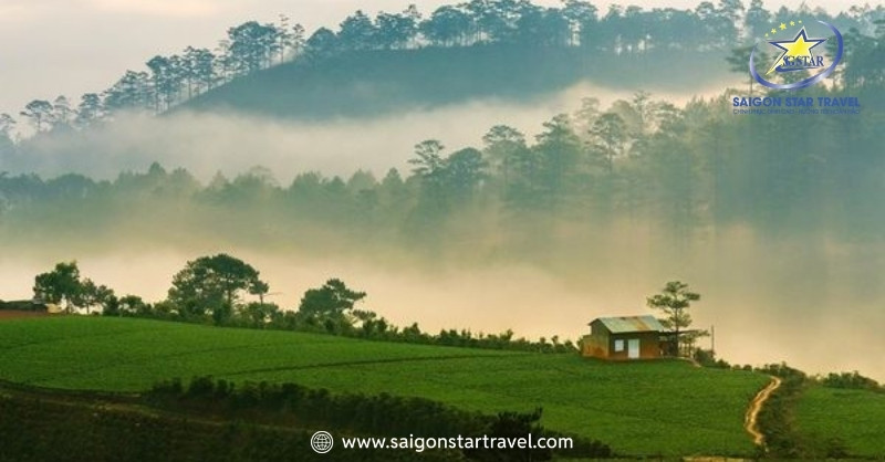 Săn mây Đà Lạt tháng 2 ở trại Mát