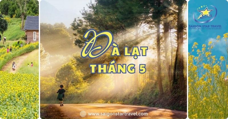 Đà Lạt tháng 5 - Vẻ đẹp lãng mạn của thành phố Sương mù