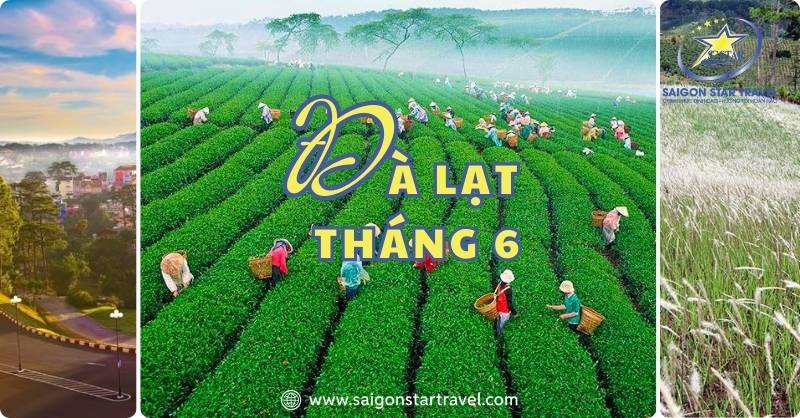 Du lịch Đà Lạt tháng 6 có gì?