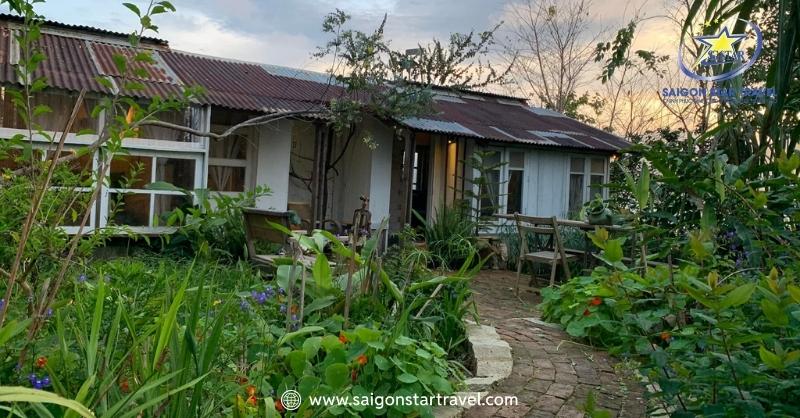 Tre Homestay Đà Lạt như bảo tàng nghệ thuật