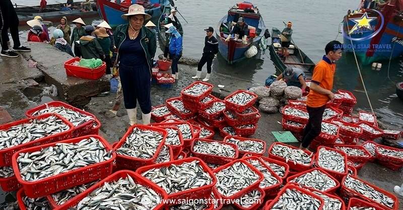 Chợ cá Hàm Tử nằm ngay tại cảng Hàm Tử, thuộc phường Hải Cảng, thành phố Quy Nhơn